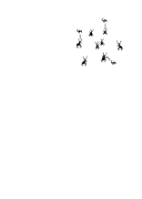 ants cards range